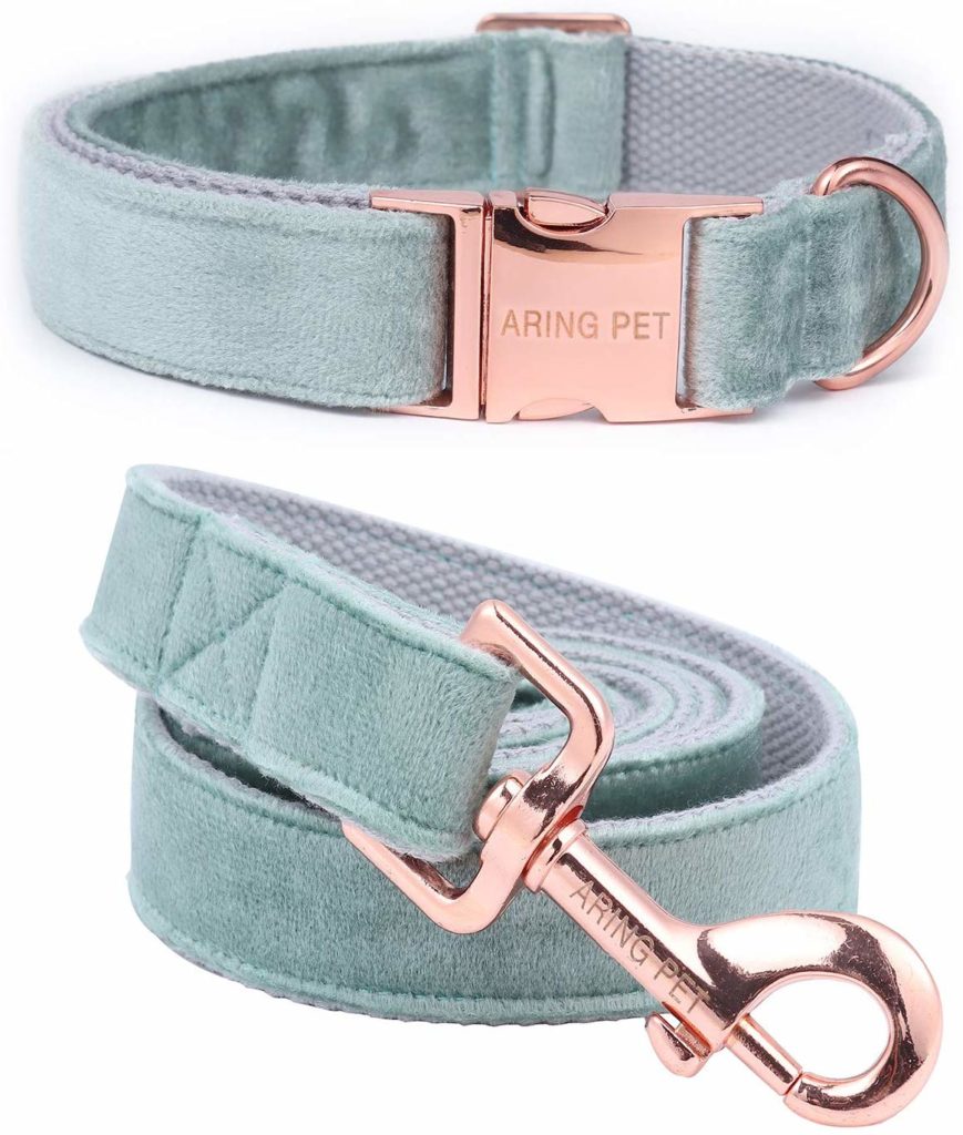 French Bulldog Harness or Collar-which one is better ...