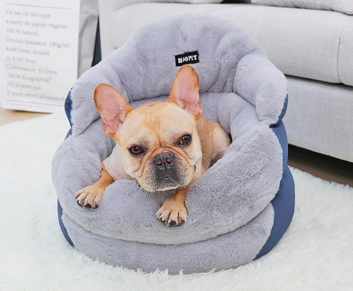 best french bulldog beds