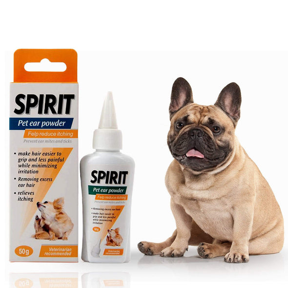 ear infections in French bulldogs