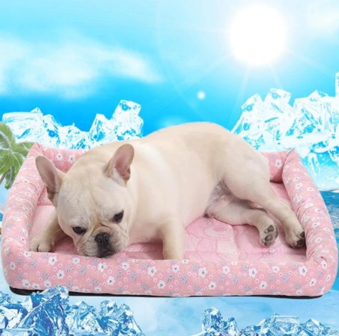 cooling beds for French bulldogs
